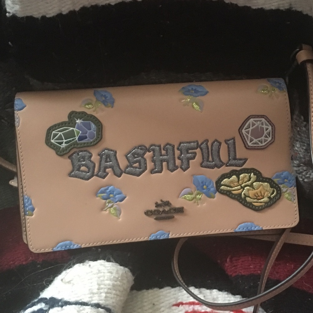 Coach dark fairy bag Bashful